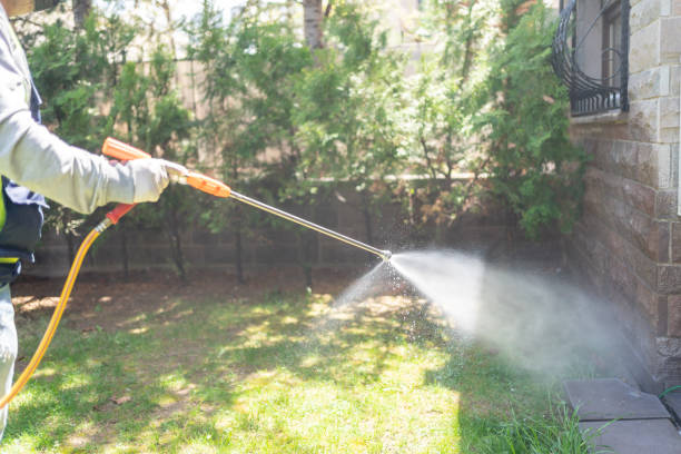 Best Pest Control Near Me  in Grenada, MS