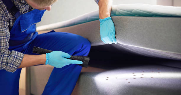 Reliable Grenada, MS Pest Control Solutions