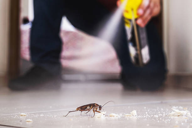 Best Best Pest Control Companies  in Grenada, MS